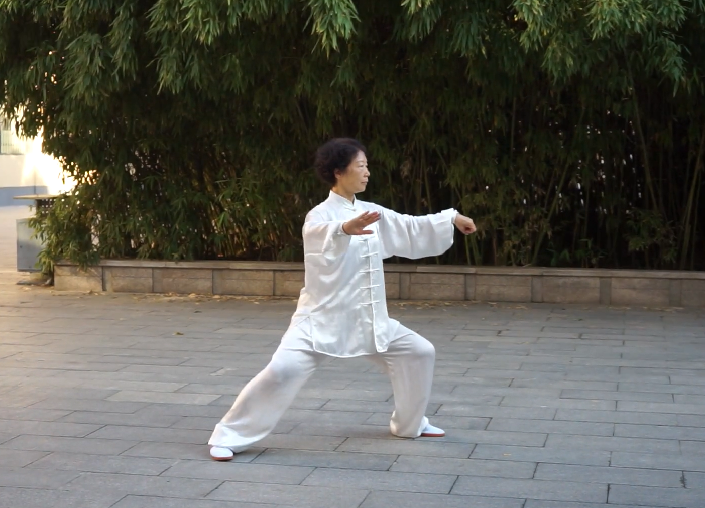 Tai Chi Courses: Chen Style Tai Chi, Second Routine 71 Forms (Cannon Fist), Teaching and demonstration. Lü Linhong Teacher