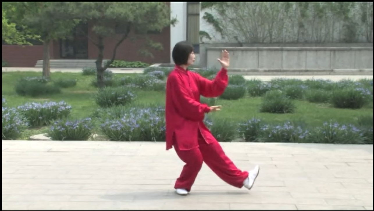 Tai Chi Video Courses: Dongyue Tai Chi  Men Huifeng, teaching and demo.