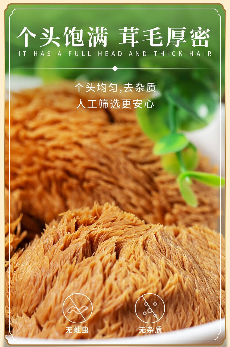 Health Food: Houtougu | Houtougu | hóu tóu gū | Lion's Mane Mushroom | Hericium erinaceus . (Oragnic) (Brand Beidahuang)