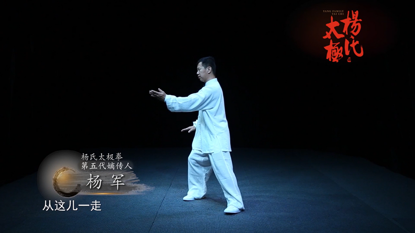 Tai Chi Video Courses: Yang Style Tai Chi Traditional Route teaching and demo. Master: Yang Jun