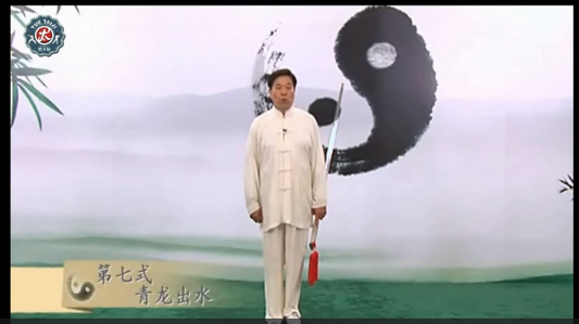 Tai Chi video courses: Hong Style Tai Chi Sword