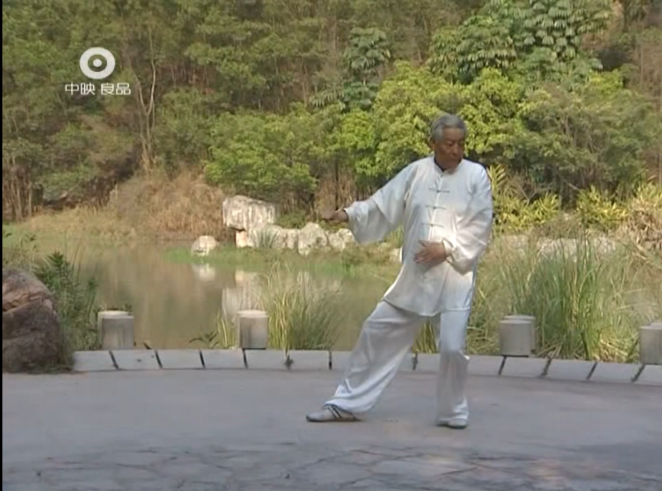 Tai Chi video courses: Yang Style Tai Chi 24 Forms Teaching and demo. Teacher: Song Yupeng