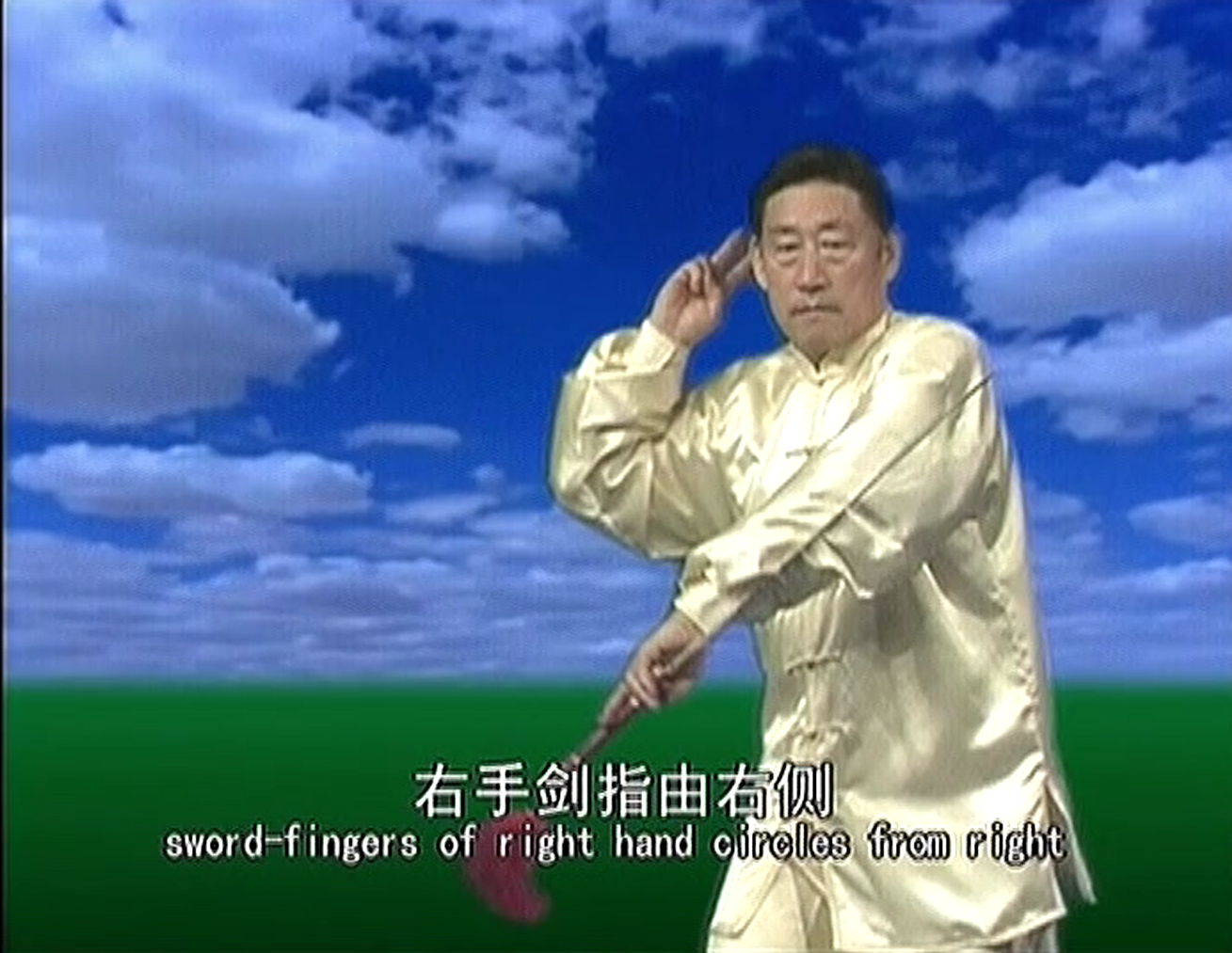 Tai Chi Video Courses: Chen Style Tai Chi Single Sword Chen Xiaowang. English Subtitle