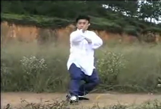 Tai Chi Video Courses: Yang Style Tai Chi. Fu Qingquan