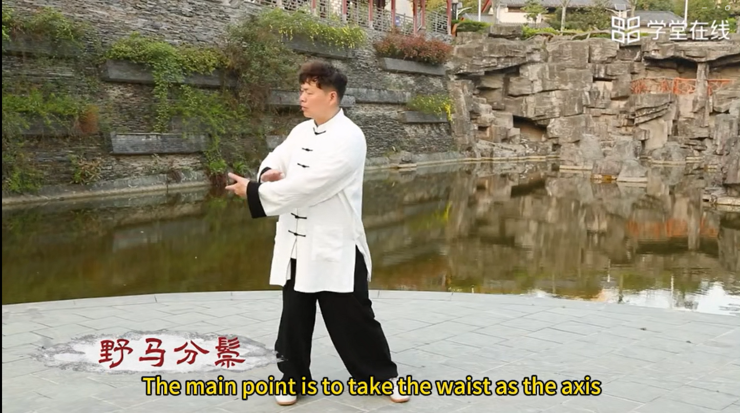 Tai Chi Video Courses: Wudang Nine-style Tai Chi. Hanjiang Normal University