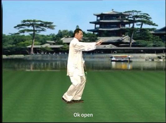 Tai Chi Video Courses: Chen Style Tai Chi Sword Traditional Tai Chi Sword 56 Forms. Master: Huang Kanghui.