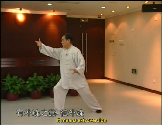 Tai Chi Video Courses: Yang Style Tai Chi 85 Forms. Master Zhao Youbin